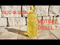 Olio di semi come carburante per i motori Diesel Chi sono i veri assassini