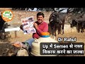 👍उत्तर प्रदेश में -ऐसे जूनूनी Dr जिनके - उंगलियों पर याद है -सभी उम्दा सांड👍 Dr Rahul👍