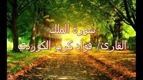 سورة الملك بصوت عذب للقارئ فؤاد كريم الكوردي