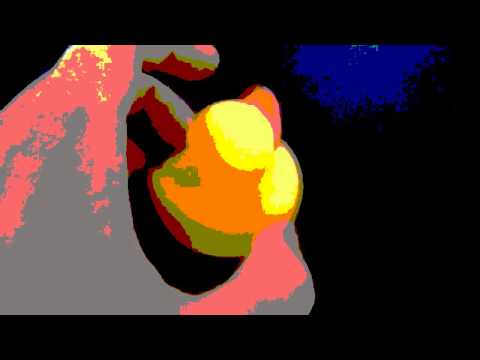 Funny Moment Duck Film. : Garakuta Mutant : Processing animation art ( 作品 )