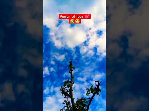 Power Of Love Love Comedy Lovestatus Lovevideo Lovefunk Viralvideo Funny Support Pleasesubscribe