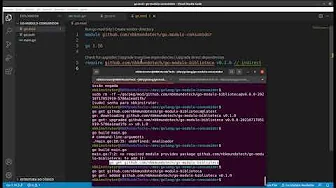 cursos/0021-modulos-de-golang-gerenciamento-de-pacotes-e-dependencias-na-linguagem-go: Continuação do Modulo Consumidor de Golang (Nome de Import Explicito)
