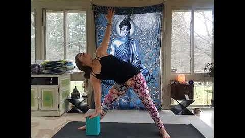 Variations - Triangle or Trikonasana