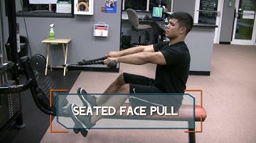 Seated Face Pull