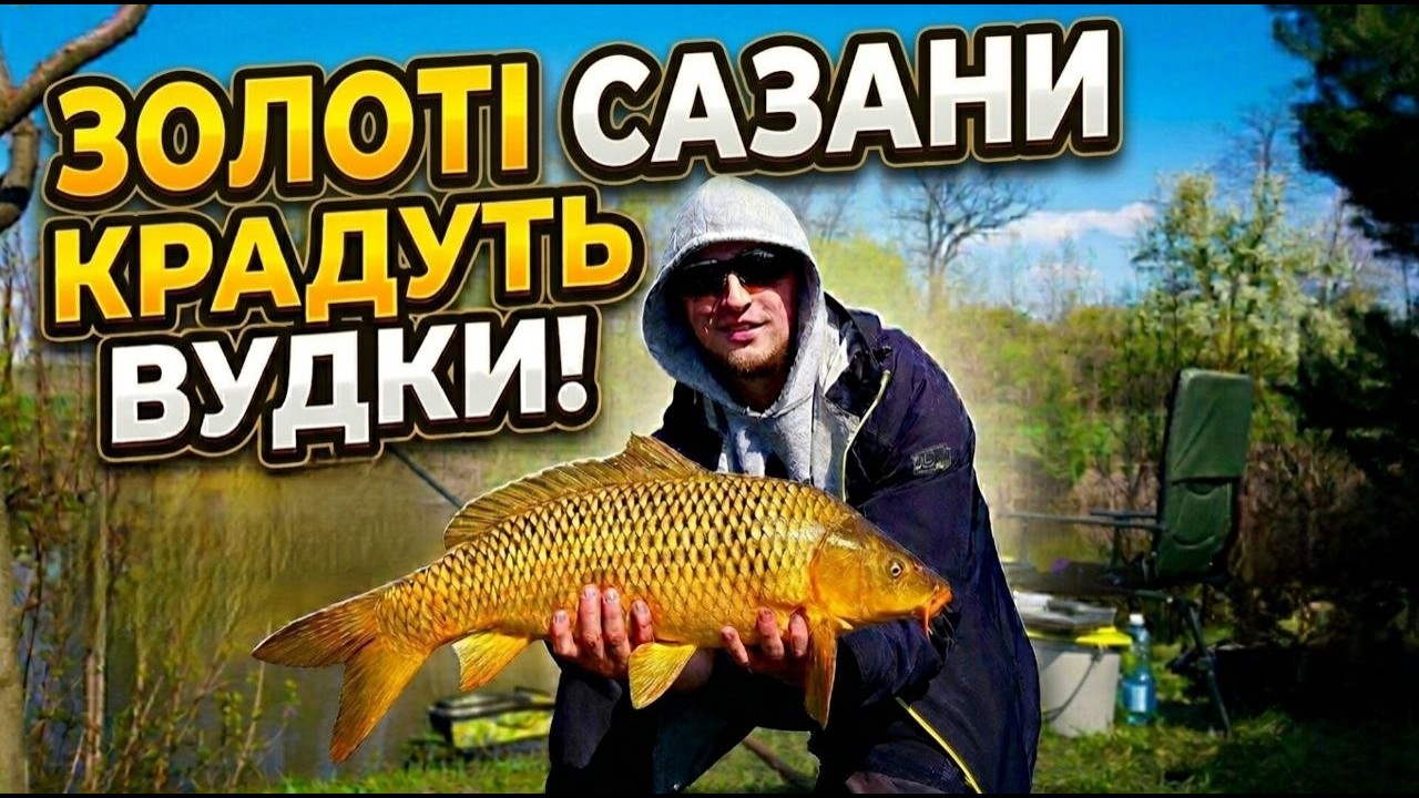 Золоті сазани в озері. Флет метод