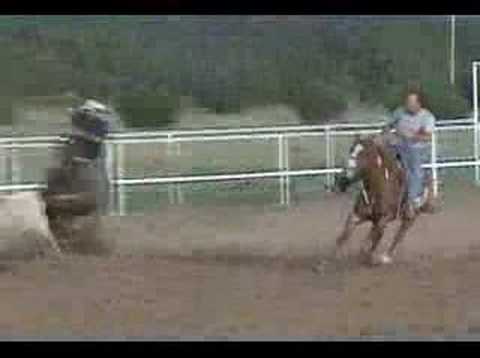 Team Roping Cavin Jacobs