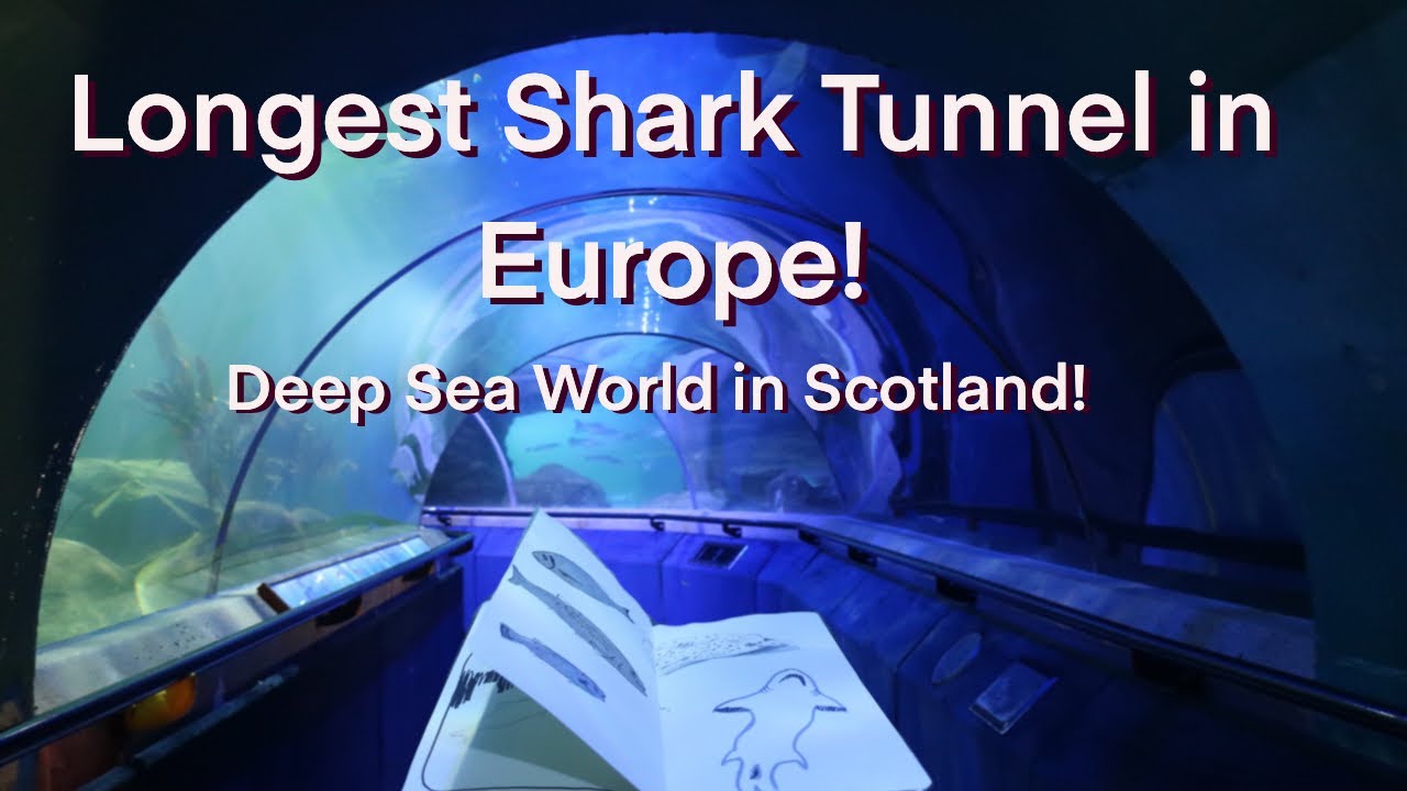 THE LONGEST SHARK TUNNEL IN EUROPE! (scientific art sketching in an aquarium)