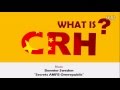 Understand china high-speed railway in  5 minutes CRH  5???????????? ??