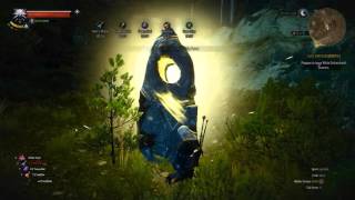 Witcher 3 Mod Showcase - Sword of Destiny Camera