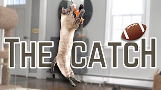The Greatest Catch of all Time?! (Turn sound on!) #shorts