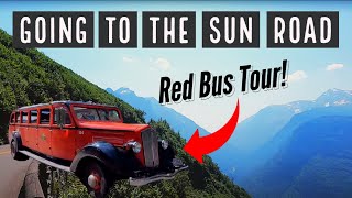 Glacier National Park's Red Bus Tour!