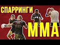 Cпарринг-сессия в клубе ММА "Балтийские Медведи" (Калининград) Шамиль Мусаев / Дневник ММА