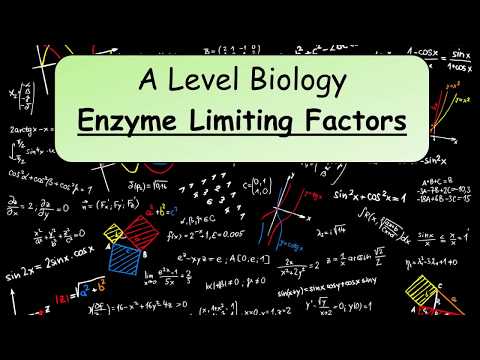 A Level Biology Factors Affecting Enzymes Revision enzyme mount
