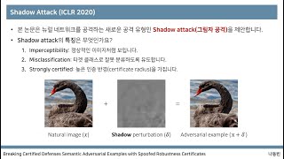 Shadow Attack - Semantic Adversarial Examples (꼼꼼한 딥러닝 논문 리뷰와 코드 실습)