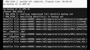 RMAN Backup Commands