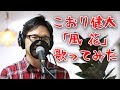 風花/こおり健太 cover by Shin