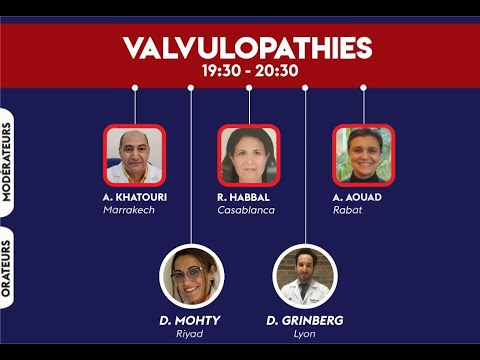 Vidéo: Rochester est-il un d1 ?