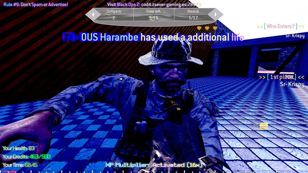 THE ACTIVATOR THOUGHT HE WON! Cod4 Deathrun Pro Run on Framey V2