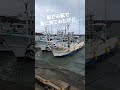 【三重県】台風14号、律丸が心配で港まで来てみたけど意外と大丈夫そうで安心した😌💭