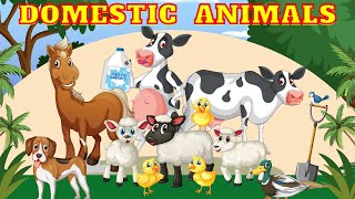 Domestic Animals Name in English || Animals Video for kids || How to read Animals Name | Pet animals