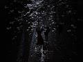 SMOOK MOOD 🚬 | Deep Dark Atmosphere