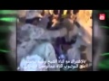 رسالة شكر وتقدير من الإمارات الى السعودية