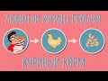 Любители курицы пробуют куриный корм