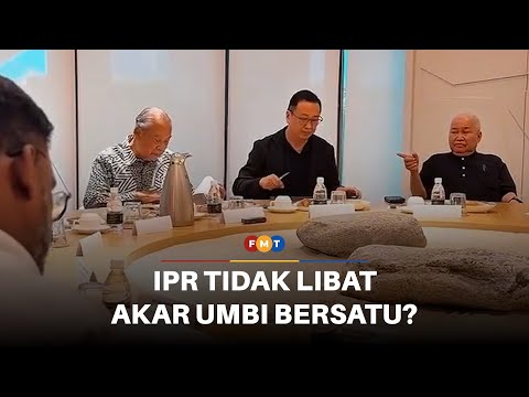 Kritikan dalam Bersatu petunjuk IPR tidak libat akar umbi, kata penganalisis
