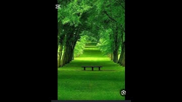 الشيخ المنشاوي رحمه الله #المنشاوي # قرءان #سوره قرأنيه