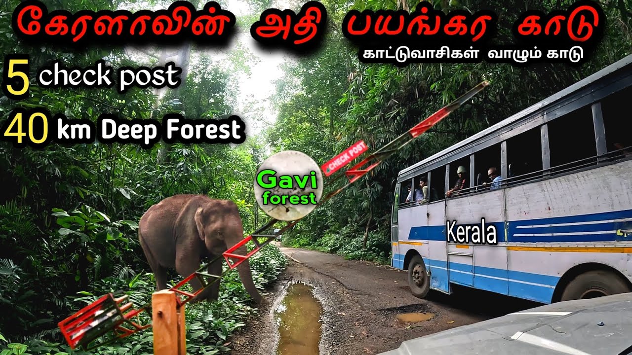 கேரளாவின் அதிபயங்கர காடு Kerala gavi Forest is very dangerous 