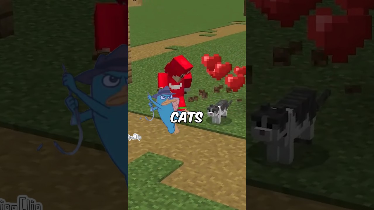 Parry the cat #minecraft
