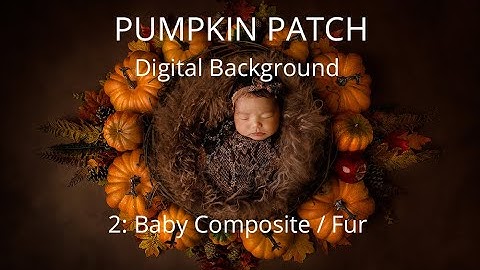 Pumpkin Patch Digital Background tutorial video 2