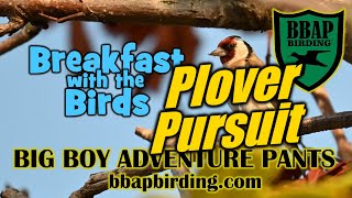 Ringy Goes Birding: Salton Sea Plover Pursuit (E9)