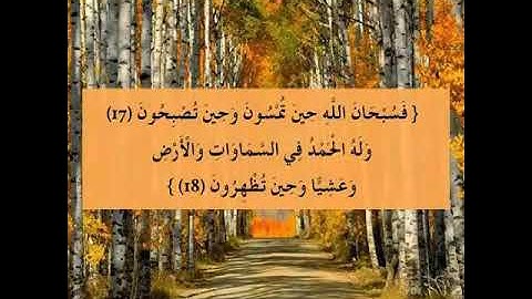 تلاوة مؤثرة من سورة (الروم ) للشيخ محيي الدين ابو العلا