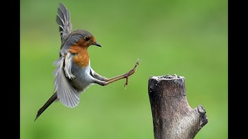 Precision landing - OpenCV - Rajant