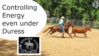Balancing Energy and Control in Cow Work: Essential Training Tips
