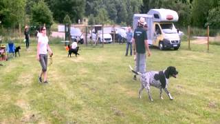 öffentlicher Hundefreilauf in Siegen/NRW