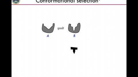 Modeling molecular recognition through enhanced sampling methods - Part I