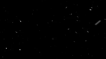 4K Snow Overlay Free Download | Snow Falling Overlay Free Download | #Snow #Overlays #Snowoverlays