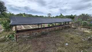 Download Lagu YANG BARU DI KEBUN KITA; CERITA BERKEBUN \u0026 BETERNAK DI KALIMANTAN MP3