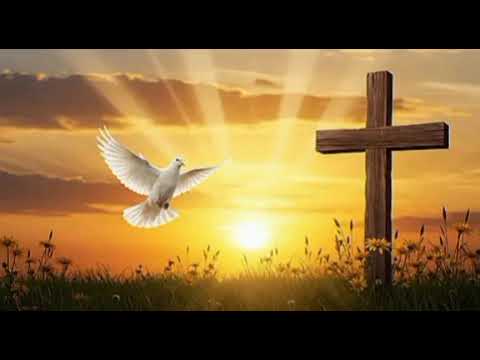 لا سلام قال إلهي للأشرار أش ٥٧ ٢١