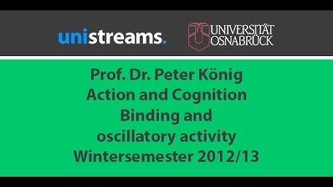 04. Video Action and Cognition WS 12/13 - Binding and oscillatory activity - unistreams