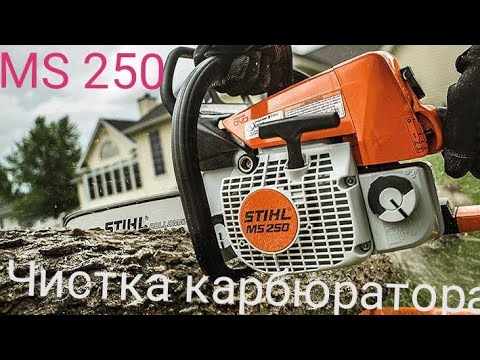 Stihl MS 250