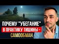 Почему ТИШИНА - это не побег, а твоя СИЛА.