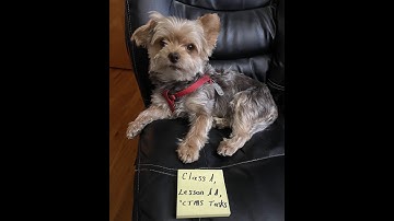 Clinical Operations Management program, Class 1, Lesson 1d, CTMS tasks, Daniel Hermann O’Mórain, RN