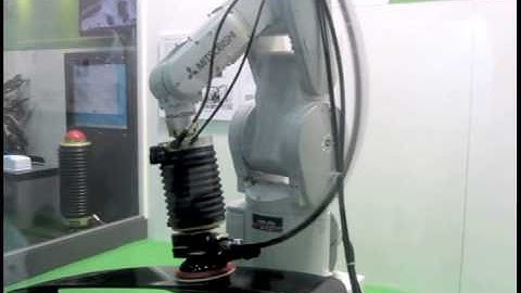 Mitsubishi Electric Robot Material Removal