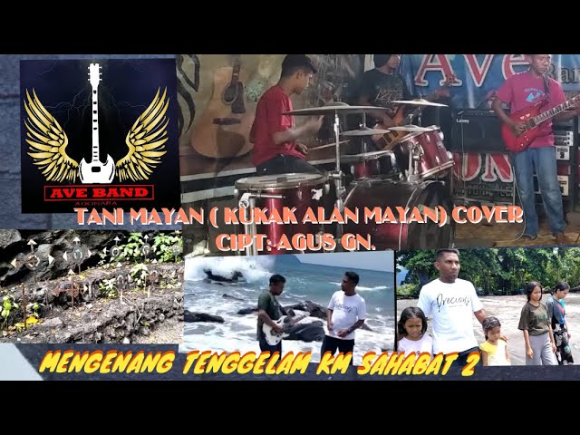 TANI MAYAN COVER.. AVE BAND ADONARA#LAGU DAERAH ADONARA#FLORES TIMUR#NTT. class=