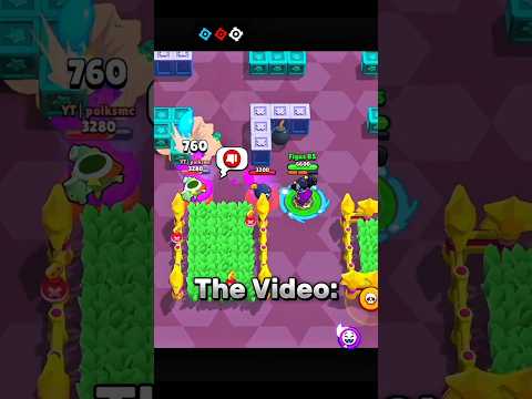 #catmemes