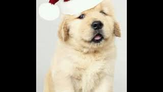 MALOTO SANG'AMBA MALAWI MUSIC