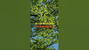 Có 1 câu nói rất đúng với xã hội hiện nay: